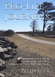 cover of book "Pro-Life Journeys" by Ellen Kolb, showing seaside path with trees