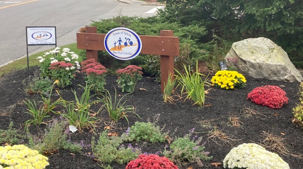 Trailside garden with fall chrysanthemums in bloom in various colors, with a sign for the Salem (NH) Bike-Ped Trail
