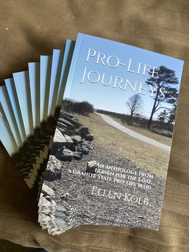 cover of paperback book entitled "Pro-Life Journeys"